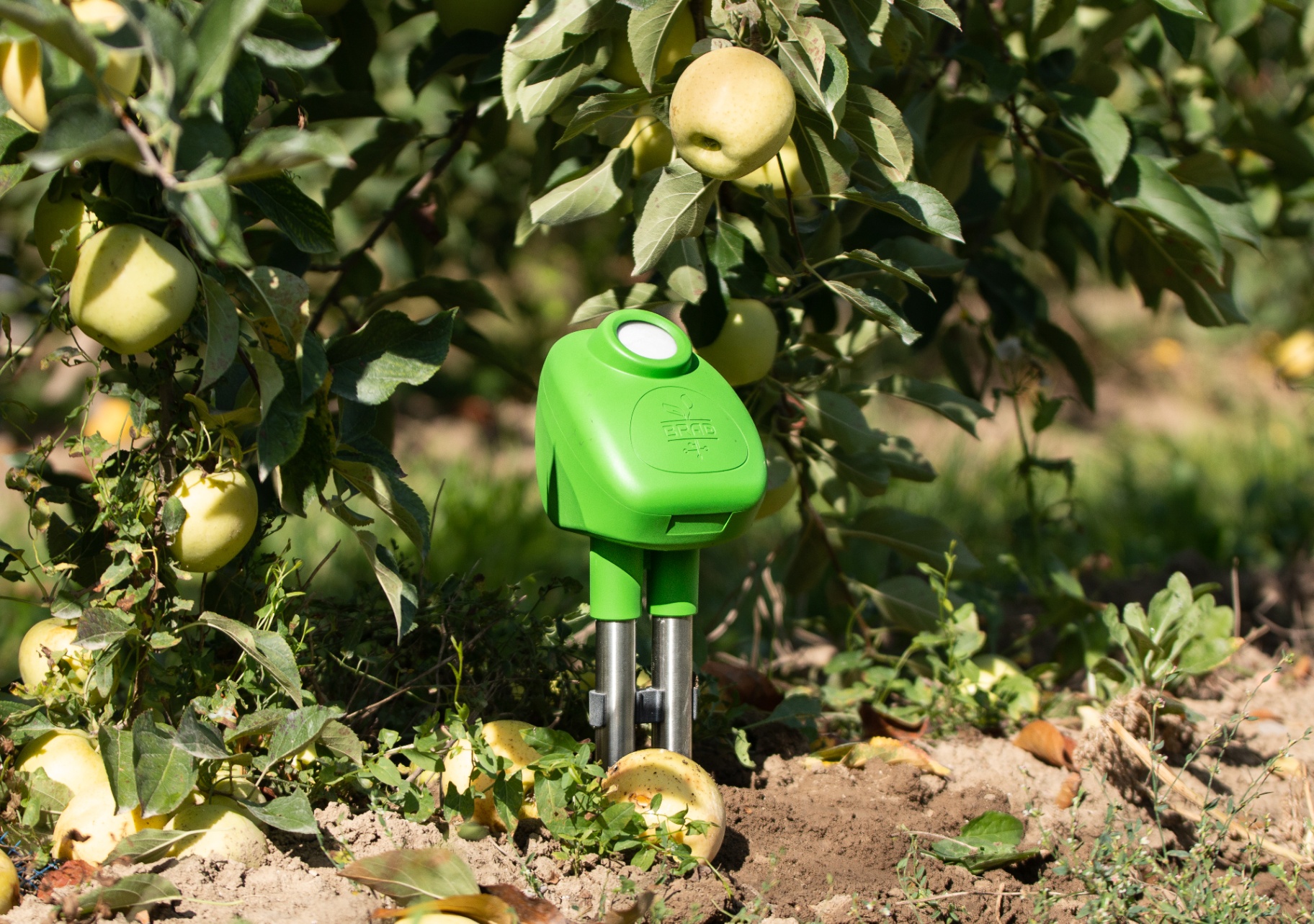 Brad soil probe planted in an orchard