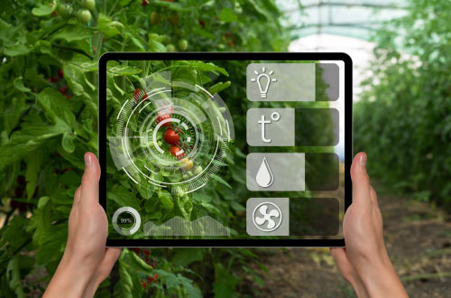 agriculture intelligence artificielle