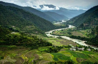 Agriculture au Bhoutan : objectif 100 % bio
