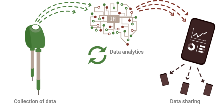 Data analysis illustration of Brad solution