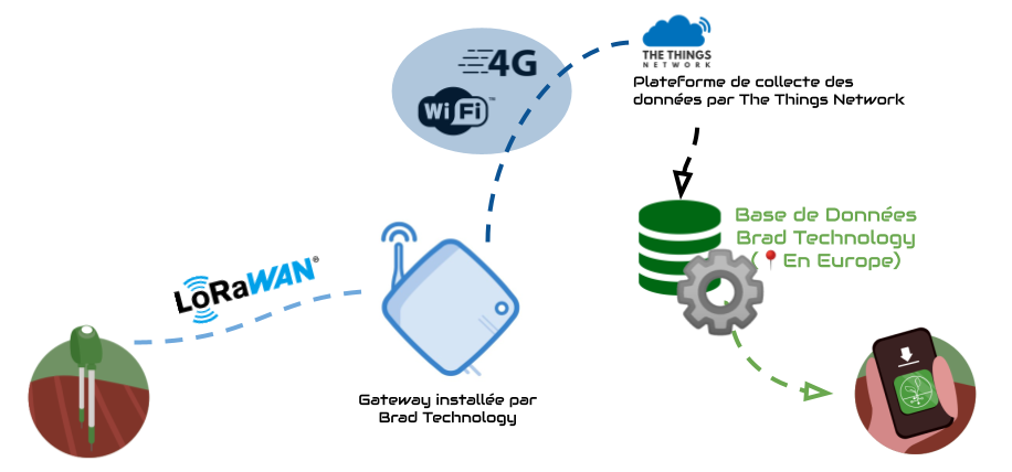 Schéma présentant les échanges de données entre la sonde Brad et l'application Brad Dashboard via le réseau LoRa de The Things Network. 